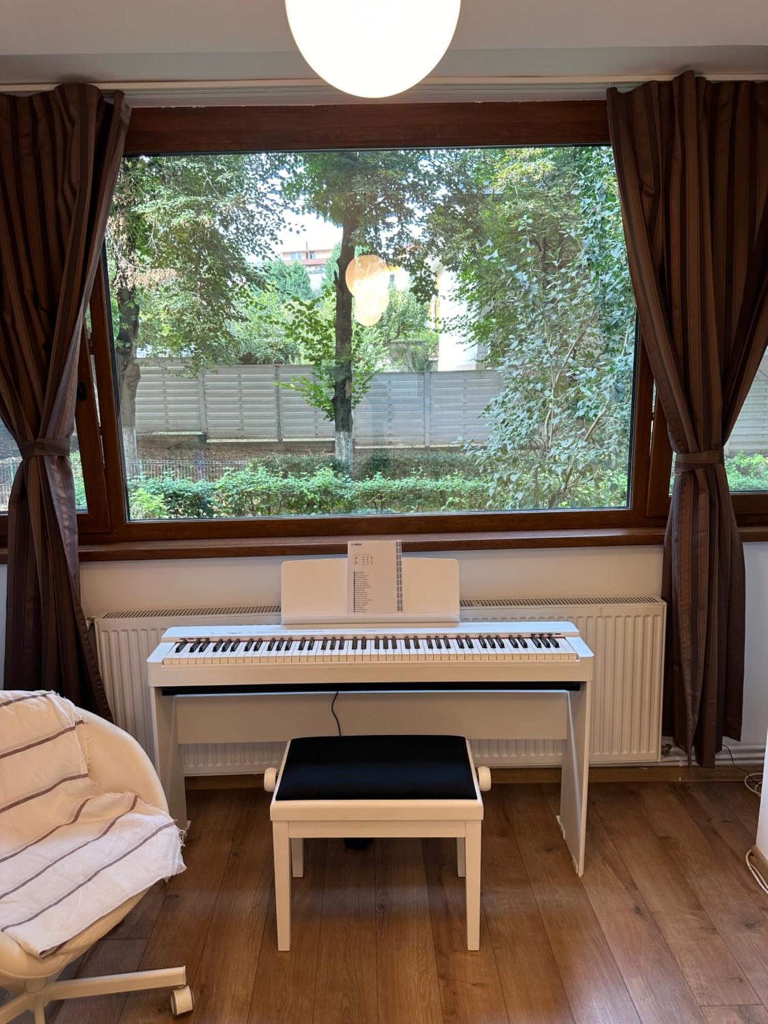 Peles Green Apartment & Piano Cluj Napoca Bagian luar foto